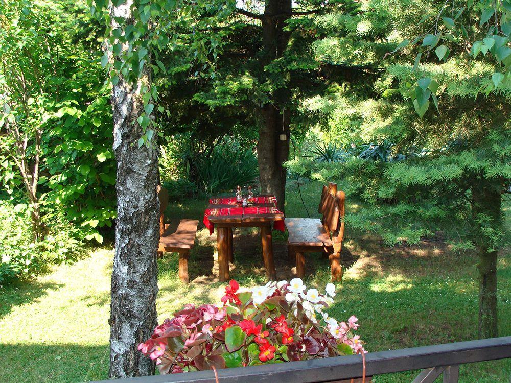 Hotel Elena Велико-Тырново Экстерьер фото